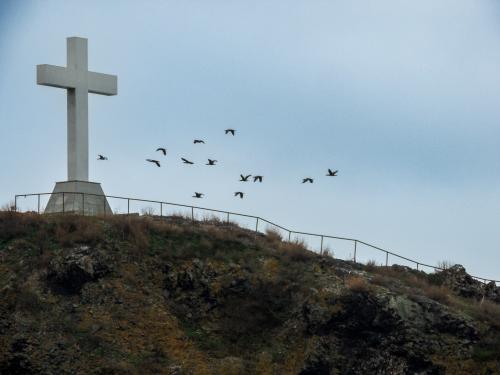 ����� - ������� ���� 