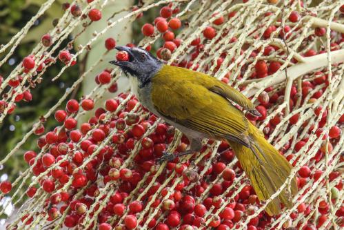 ����� ����-����