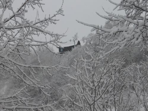 ����� ��������� � ������