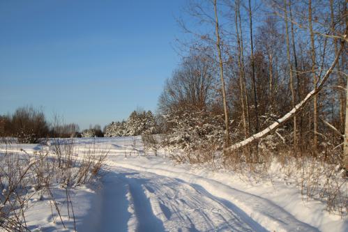 ������ ������