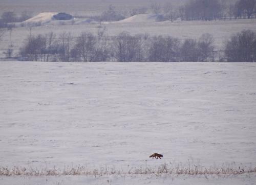 � ������� �� ��������