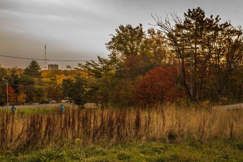 ������� �����