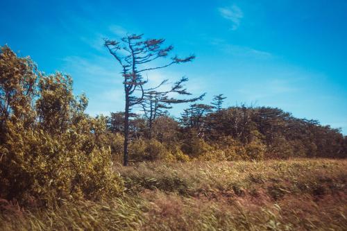 ����� ��������� ����� 