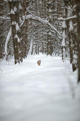 ��������� �����