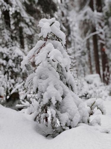 � ���� �������� ������.. 