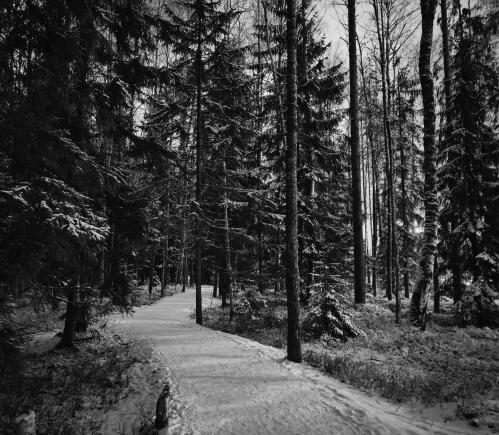 �������� ���� �� ���� ������... 