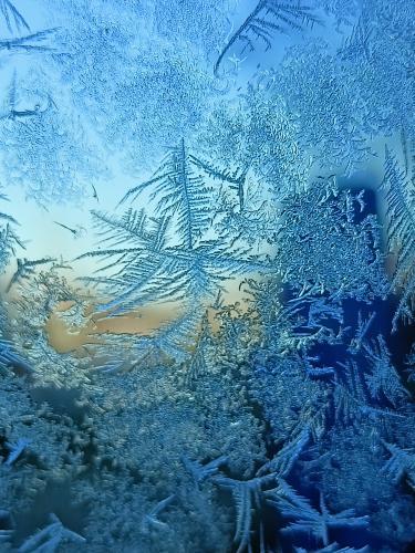 ���� �� ���� ����...