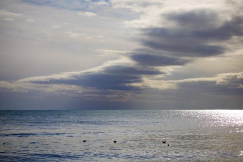 ���� �� ����