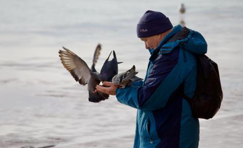 ������ �������