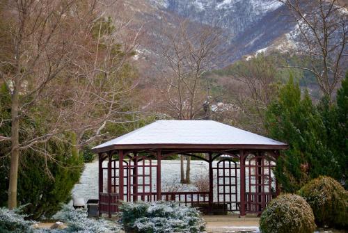 ������� �����