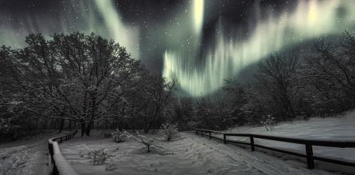 �������� ������.