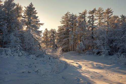 ���������� ����