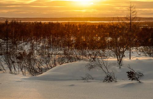 � ����� ������