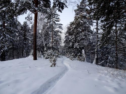 ��������.