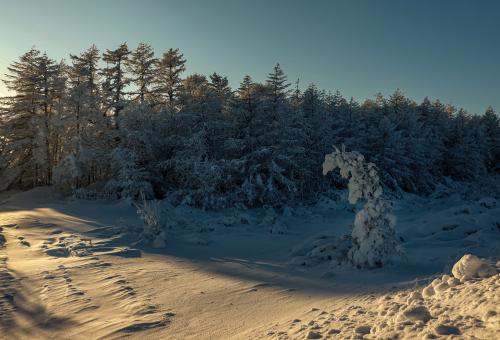 ����� � ������ ����