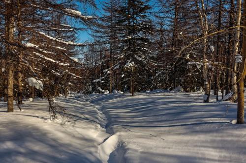 ���� � �������