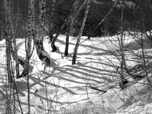 ��������� �����.