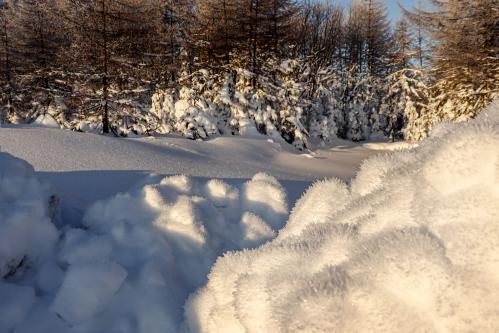 ������� �����