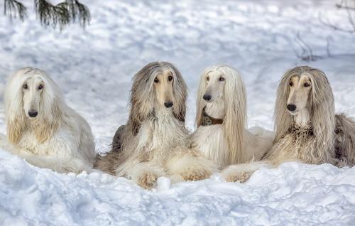 ��������� ������