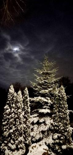 ���� ���������� 