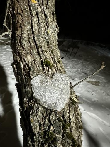 ����� � ������