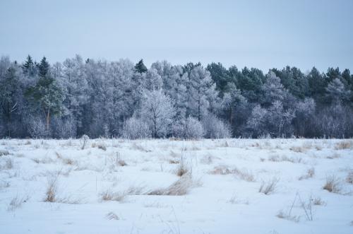 ����� ����� 