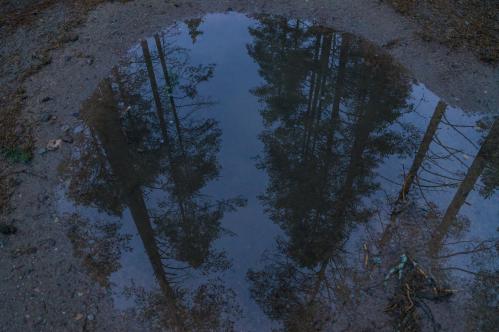 ��� ������