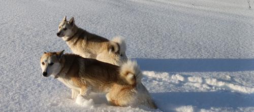 ������� �� ����