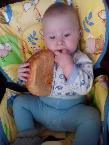 ���� ����� ������