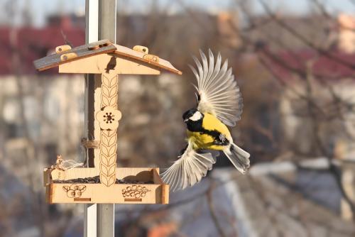 ��������� ������. 