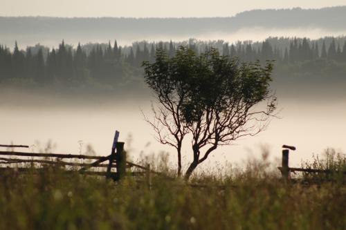 ����������� ����