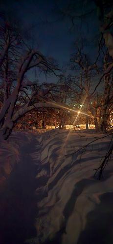 ����� �����