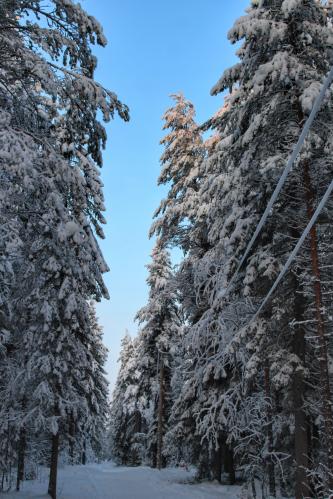 ������ ��������� 