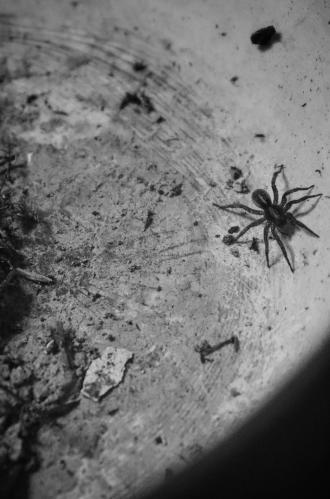 ���� - ������� � ��� ���.