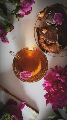 ������ �����