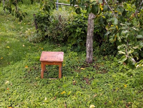 ����������,�� ������