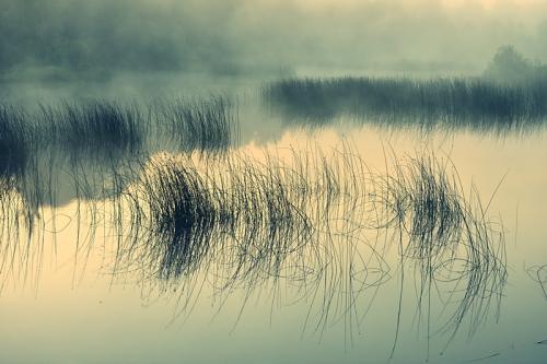 ������ �����