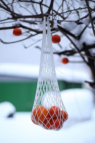 �� �����������