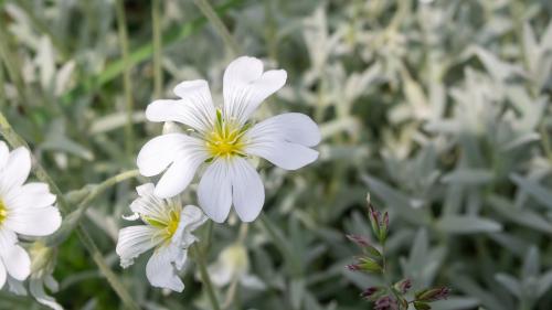 �� ������