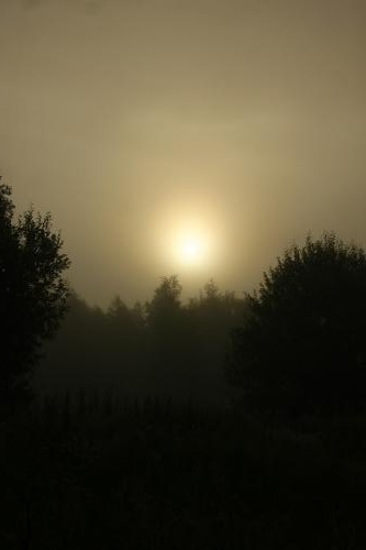 �������� ����