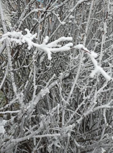 �������� �����