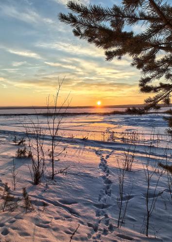 ������ �����