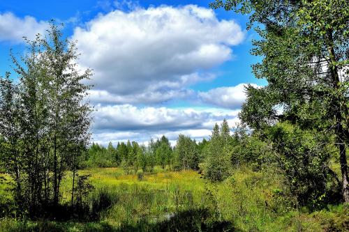 ������ ���