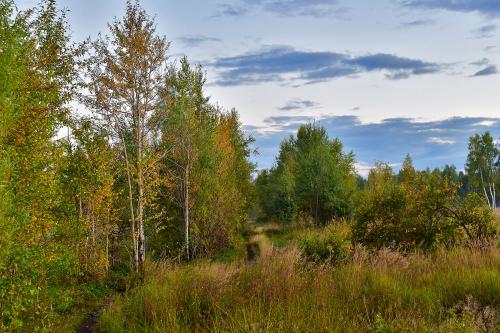 ����� � ����