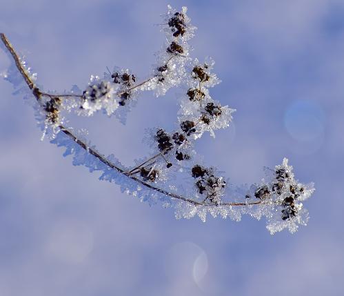 ������ �����