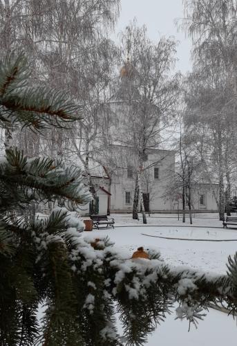 �������������������� �����