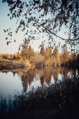 ����� &amp;#65533; 