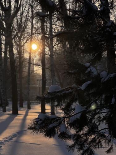 ��������� �����