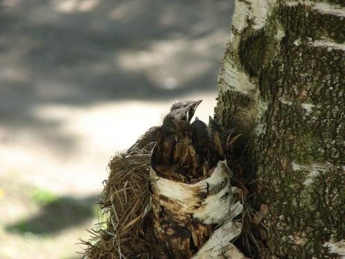 ���� �� ���?