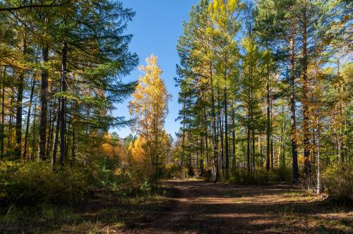 ������������.